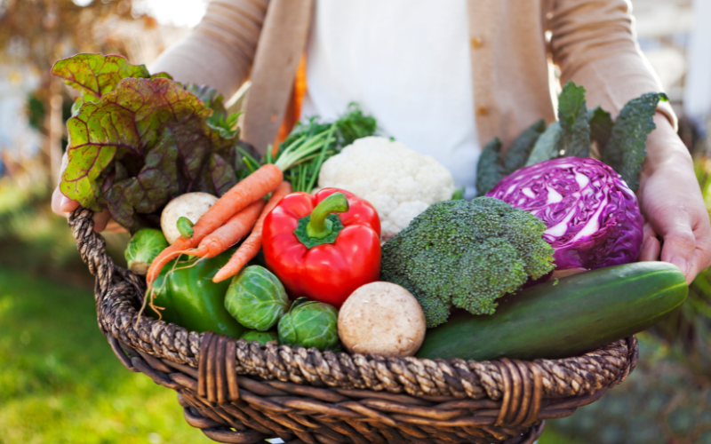 11 Reasons Why Gardening is Good for Your Health - Growing Fruits and Vegetables