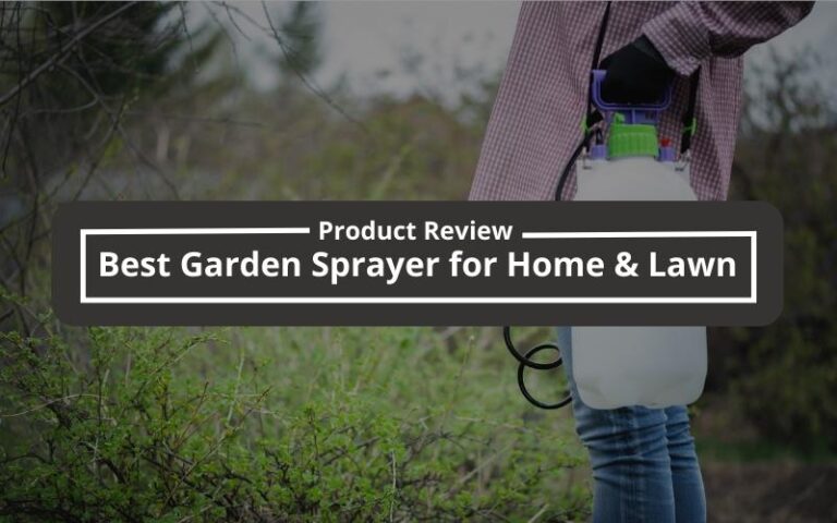 Top 6 Best Garden Sprayers for 2025 | Reviews & Buying Guide
