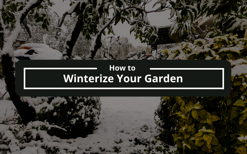 How to Winterize Your Garden