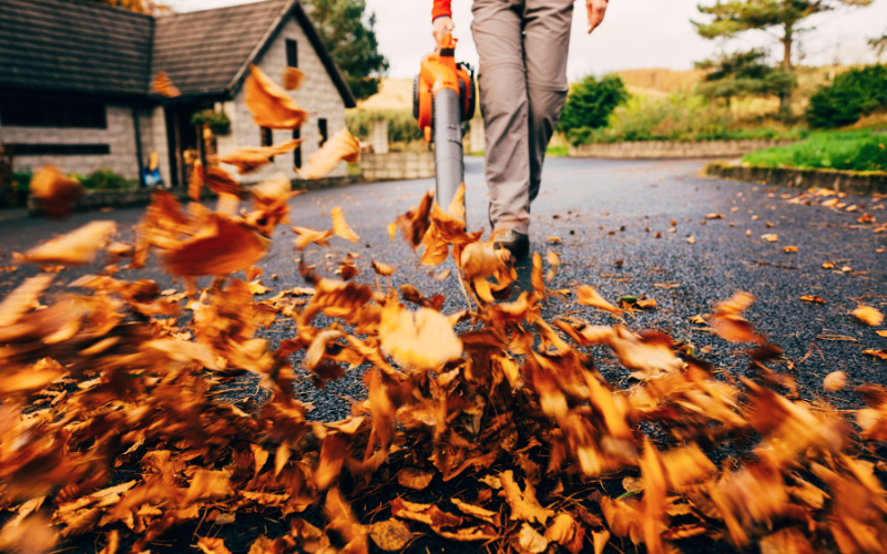 Top 10 Best Leaf Blowers of 2024